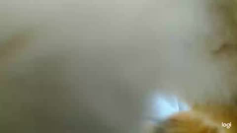 Blue online show from 02/24/25, 03:42