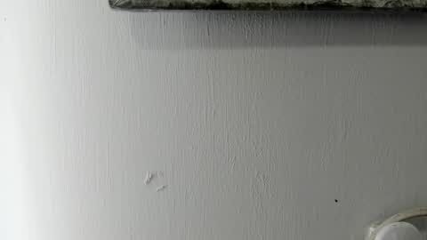 lady blue online show from 01/06/25, 05:38