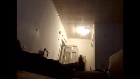 tonetanight online show from 02/07/26, 04:22