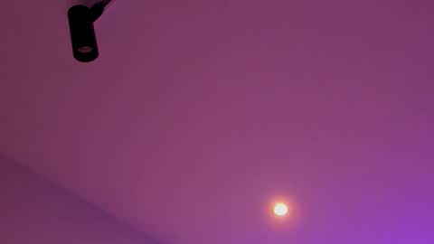 Snapshot of tony_petrov chatting on 01/08/26, 03:20 tony_petrov online show from 01/08/26, 03:20