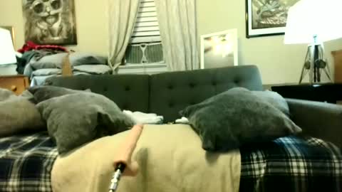 Tony Luv    Fuck Machine  online show from 06/18/26, 10:19