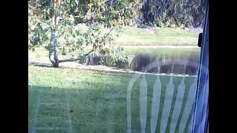 Snapshot of tonymcfly99 chatting on 02/21/25, 09:43 tonymcfly99 online show from 02/21/25, 09:43