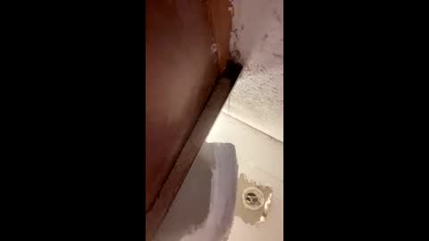 Snapshot of toronto5656 chatting on 01/12/25, 04:00 toronto5656 online show from 01/12/25, 04:00