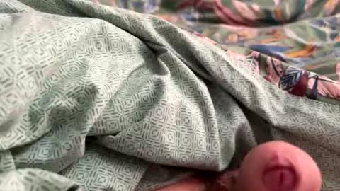 Snapshot of tos12345 chatting on 11/21/25, 12:15 tos12345 online show from 11/21/25, 12:15