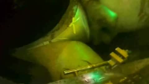 Snapshot of tosexyforjustus chatting on 03/15/26, 08:59 tosexyforjustus online show from 03/15/26, 08:59