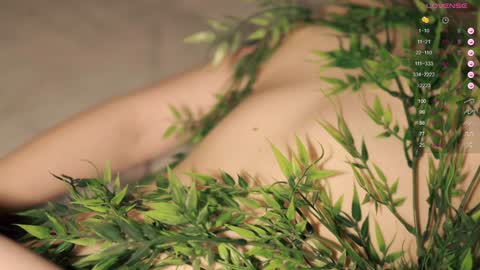 Toshi online show from 12/09/24, 04:05