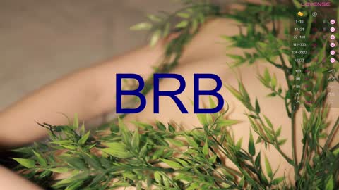 Toshi online show from 01/19/25, 04:04