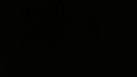 Snapshot of totoro_239 chatting on 03/24/26, 08:36 totoro_239 online show from 03/24/26, 08:36