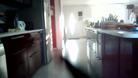 Snapshot of toutim6163 chatting on 09/30/25, 07:02 toutim6163 online show from 09/30/25, 07:02