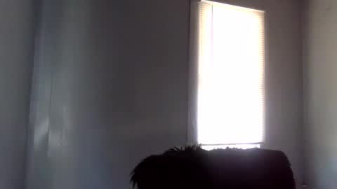 Snapshot of toxicanikki chatting on 02/04/26, 08:36 toxicanikki online show from 02/04/26, 08:36