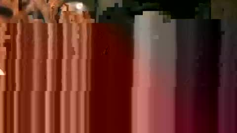 Snapshot of tr0069 chatting on 10/25/25, 09:39 tr0069 online show from 10/25/25, 09:39