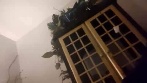 trans167456 online show from 12/19/25, 09:49