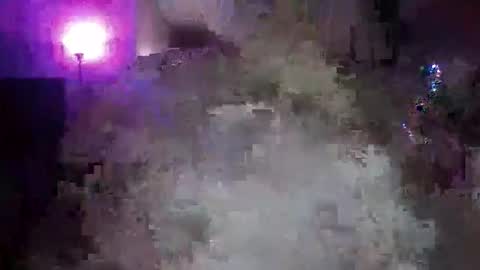 transgirl005 online show from 11/10/25, 10:03