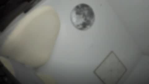 Snapshot of transnextdoor_ chatting on 03/26/26, 05:29 ALMIGHTY GODDESS VALENTINA online show from 03/26/26, 05:29