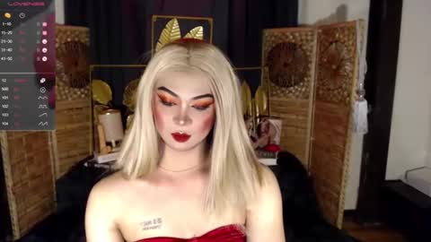 transsitips online show from 04/25/26, 07:55