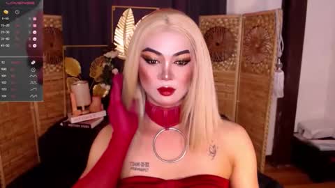transsitips online show from 04/26/26, 11:57