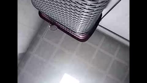 Snapshot of trapper727272 chatting on 03/02/26, 05:41 Big Head Cock online show from 03/02/26, 05:41