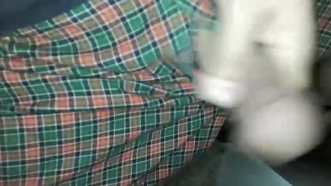 Snapshot of travelingmantla chatting on 01/14/25, 07:06 Daddy Edgalot online show from 01/14/25, 07:06