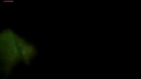 Snapshot of travisdiamonds chatting on 11/13/25, 07:13 TRAVIS. online show from 11/13/25, 07:13