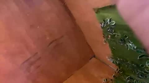 trebz_01 online show from 11/17/25, 07:58