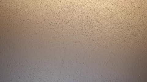 Snapshot of treedude303720 chatting on 10/16/25, 09:43 treedude303720 online show from 10/16/25, 09:43