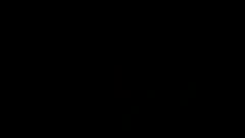 Snapshot of treimann chatting on 01/21/25, 07:47 Thorcci online show from 01/21/25, 07:47