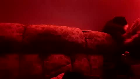 Snapshot of tretrix5588 chatting on 01/03/25, 10:09 tretrix5588 online show from 01/03/25, 10:09