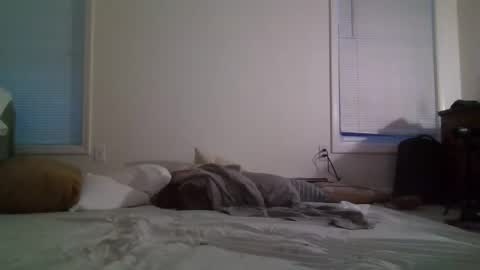 trickquestion online show from 02/08/25, 11:44