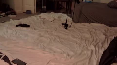 trickquestion online show from 02/23/25, 08:49