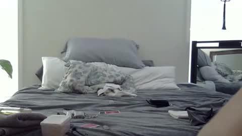 Snapshot of trickquestion chatting on 02/19/26, 08:49 trickquestion online show from 02/19/26, 08:49