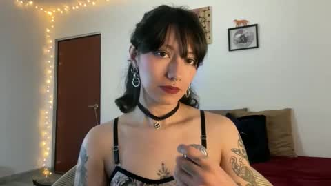 Snapshot of trinitysecrets chatting on 03/03/26, 07:53 trinitysecrets online show from 03/03/26, 07:53