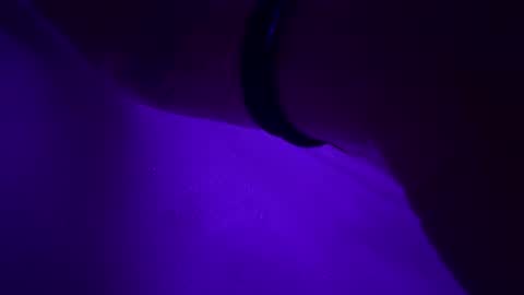 triplehero online show from 12/30/24, 12:54