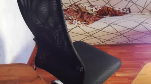 Snapshot of trone41 chatting on 02/03/26, 07:02 I POST MY FUCKING VIDEOS AND PICS online show from 02/03/26, 07:02