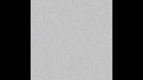 Snapshot of tropicalmadness chatting on 02/26/26, 01:21 Archie Torres online show from 02/26/26, 01:21