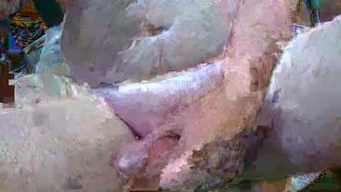 troy1965 online show from 01/06/25, 04:47