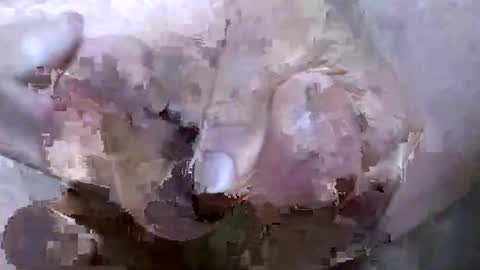 troy1965 online show from 04/21/26, 05:03