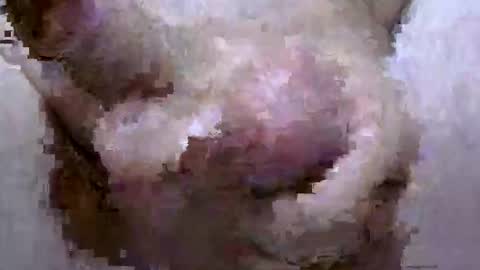 troy1965 online show from 04/28/26, 05:45