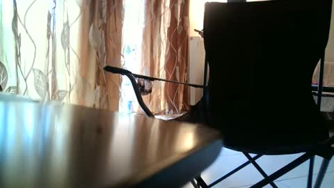 truble_again online show from 05/18/26, 05:46