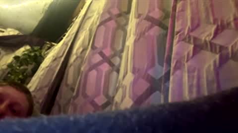 Snapshot of tryagainbish296 chatting on 01/16/26, 08:40 tryagainbish296 online show from 01/16/26, 08:40