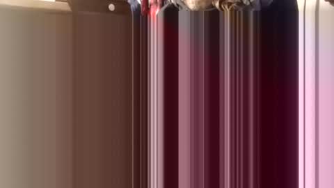 Snapshot of trypodman chatting on 12/11/24, 04:31 trypodman online show from 12/11/24, 04:31