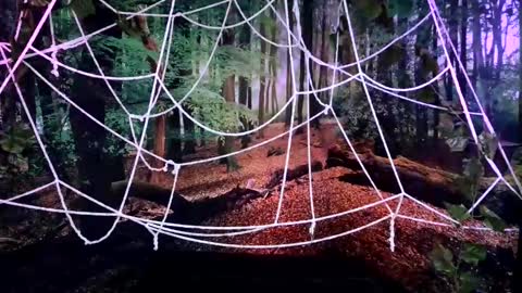 Snapshot of tsblondienyc chatting on 10/28/25, 08:00 Jessie online show from 10/28/25, 08:00