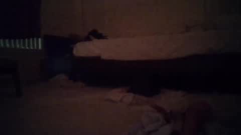 tsgoddessdani online show from 05/13/26, 08:34