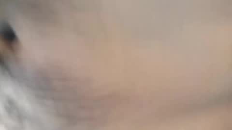 Snapshot of ttimmyt chatting on 11/08/25, 08:07 ttimmyt online show from 11/08/25, 08:07