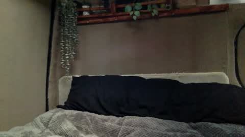 Snapshot of tuhands chatting on 12/21/24, 02:58 Tuhands online show from 12/21/24, 02:58