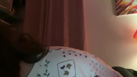 Snapshot of tulipisnotaperson chatting on 02/02/26, 04:00 Tulip online show from 02/02/26, 04:00