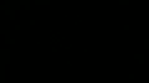 Bi Bear Delight online show from 04/27/26, 12:41
