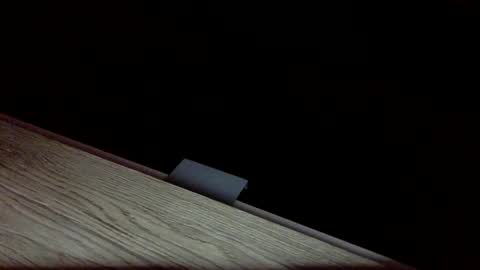 Snapshot of tvstefanie1 chatting on 12/01/24, 08:42 tvstefanie1 online show from 12/01/24, 08:42