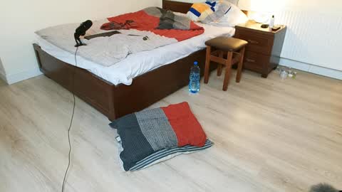 Vicky  Victor online show from 12/12/24, 03:54