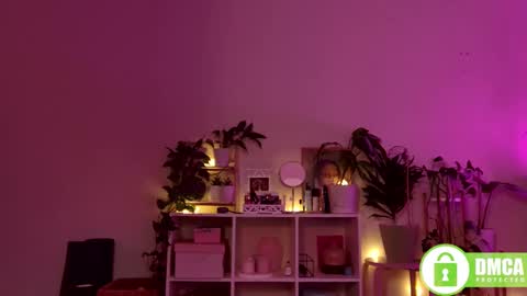 Stranger online show from 12/28/24, 08:04