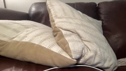 ty223222 online show from 03/06/25, 07:36